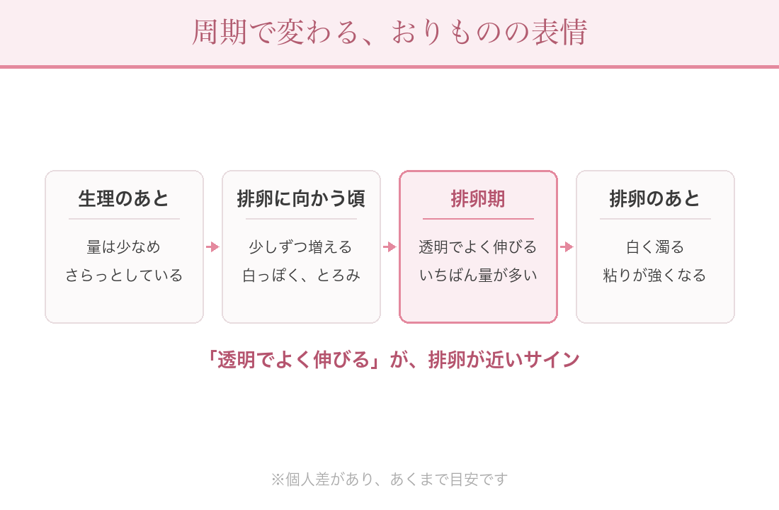 周期で変わるおりものの図解