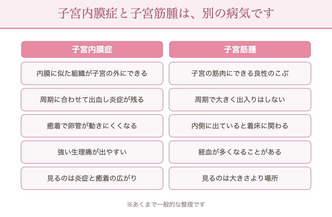 子宮内膜症と子宮筋腫のちがい：内膜症は内膜に似た組織が子宮の外にでき癒着で卵管が動きにくくなる／筋腫は子宮の筋肉にできる良性のこぶで内側に出ていると着床に関わる