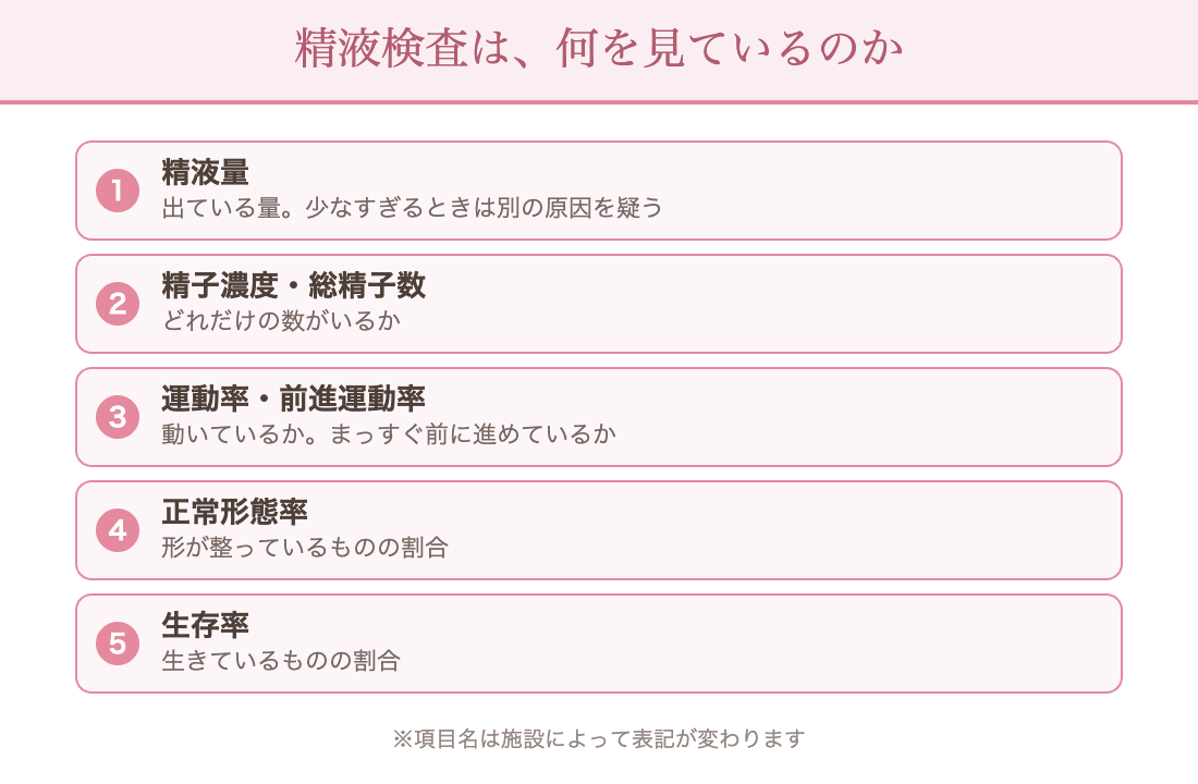 精液検査で見ている項目：精液量／精子濃度と総精子数／運動率と前進運動率／正常形態率／生存率
